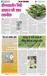 THE PHOTON NEWS (17.05.2025)_page-0005