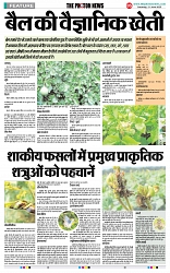 THE PHOTON NEWS (21.06.2025)_page-0005