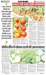 THE PHOTON NEWS (28.06.2025)_page-0005